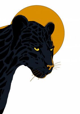 Big Cat