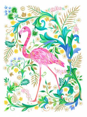 Flamingo