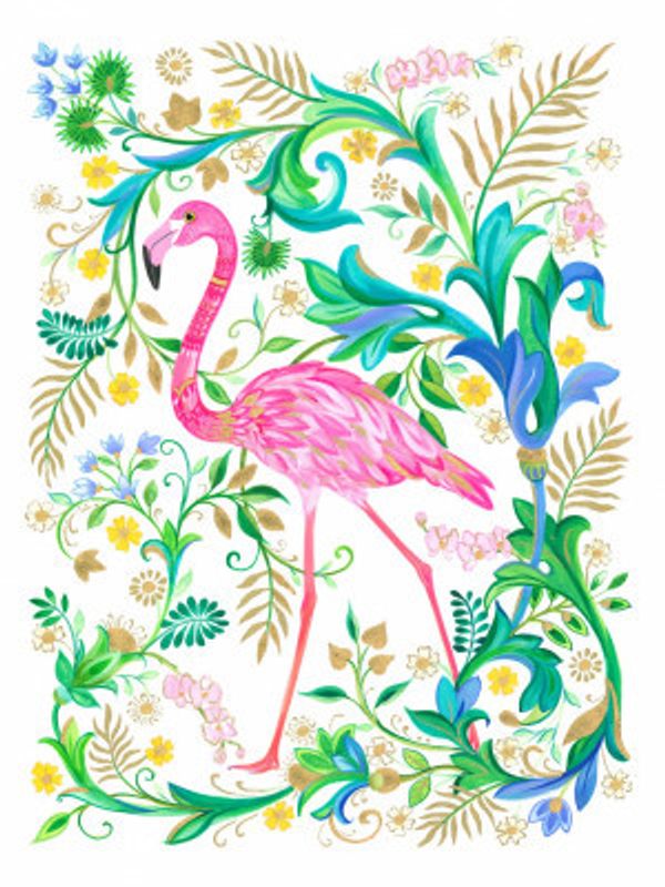 Flamingo