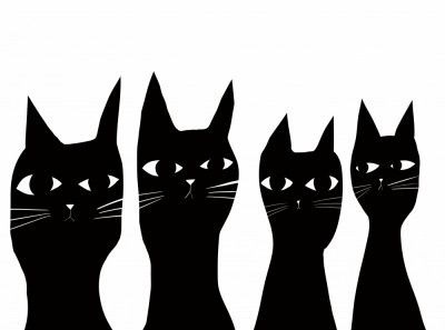 Four black cats