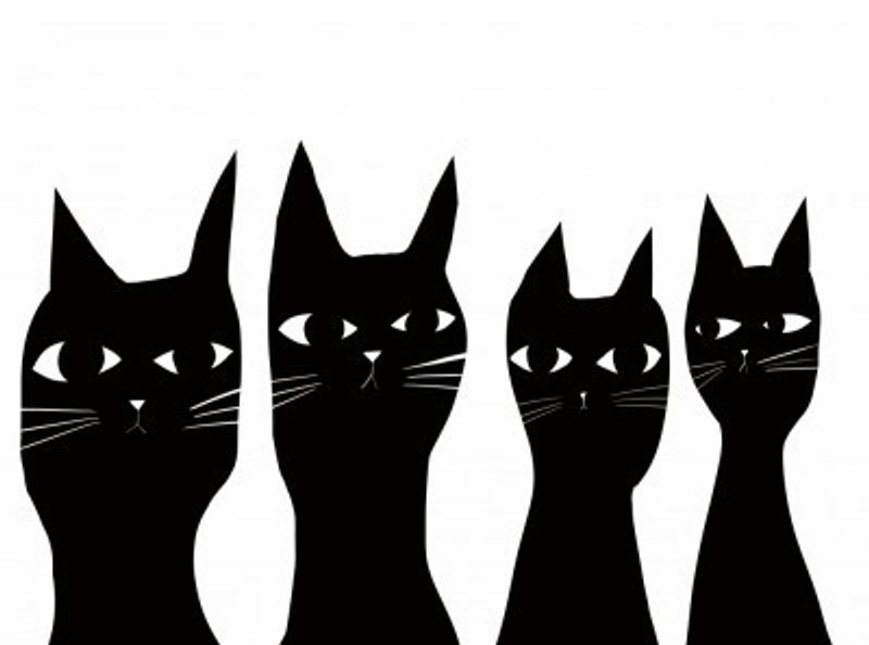 Four black cats