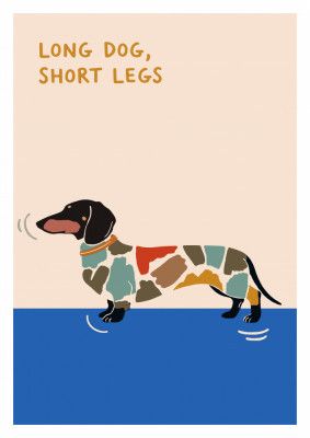 Long Dog, Short Legs