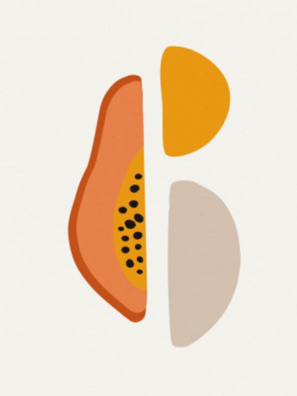 Warm Geometric Slice