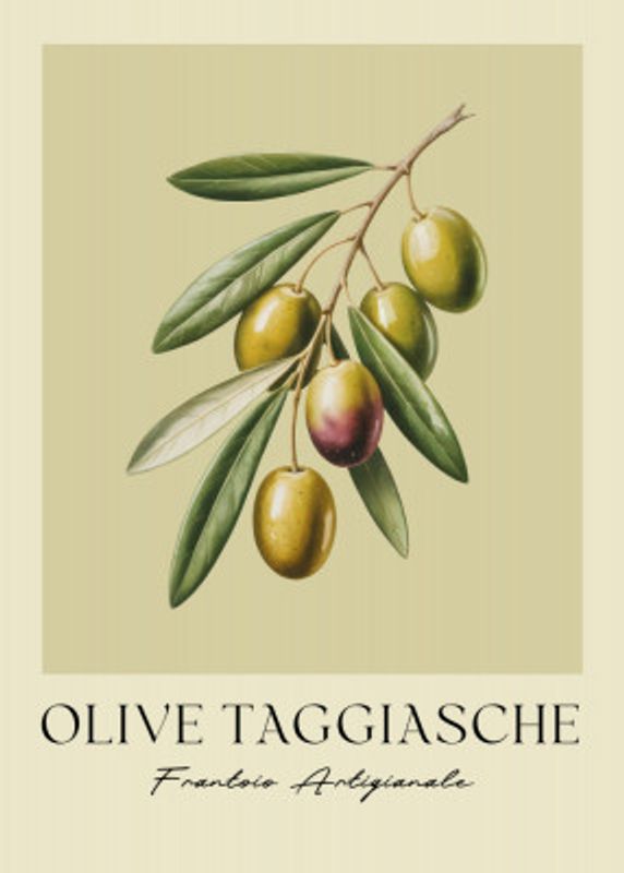 Olive Taggiasche
