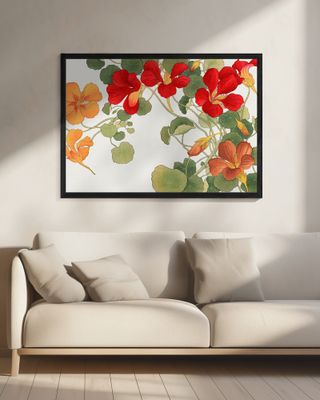 Nasturtium Flower No.2