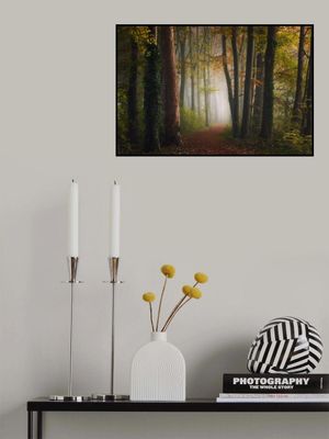 Autumn colorful forest