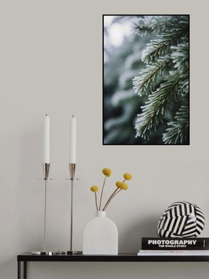 Frosted Pine Whispers