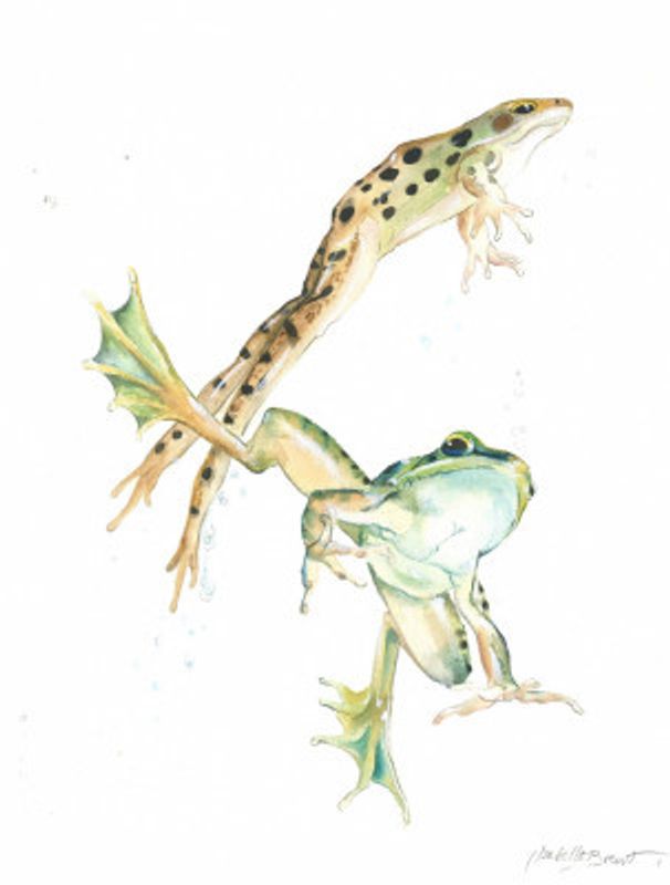 Water Ballet Frogs
