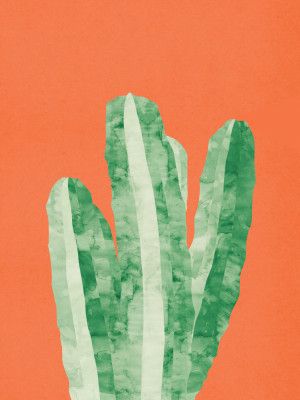 Modern Botanical Illustration