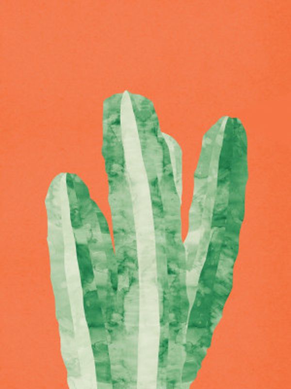 Modern Botanical Illustration