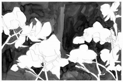 Charcoal Botanical Layered Print 2