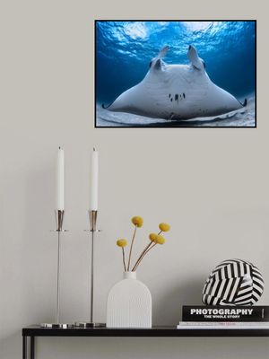 Take Off / Manta Airline