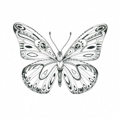 Intricate Butterfly