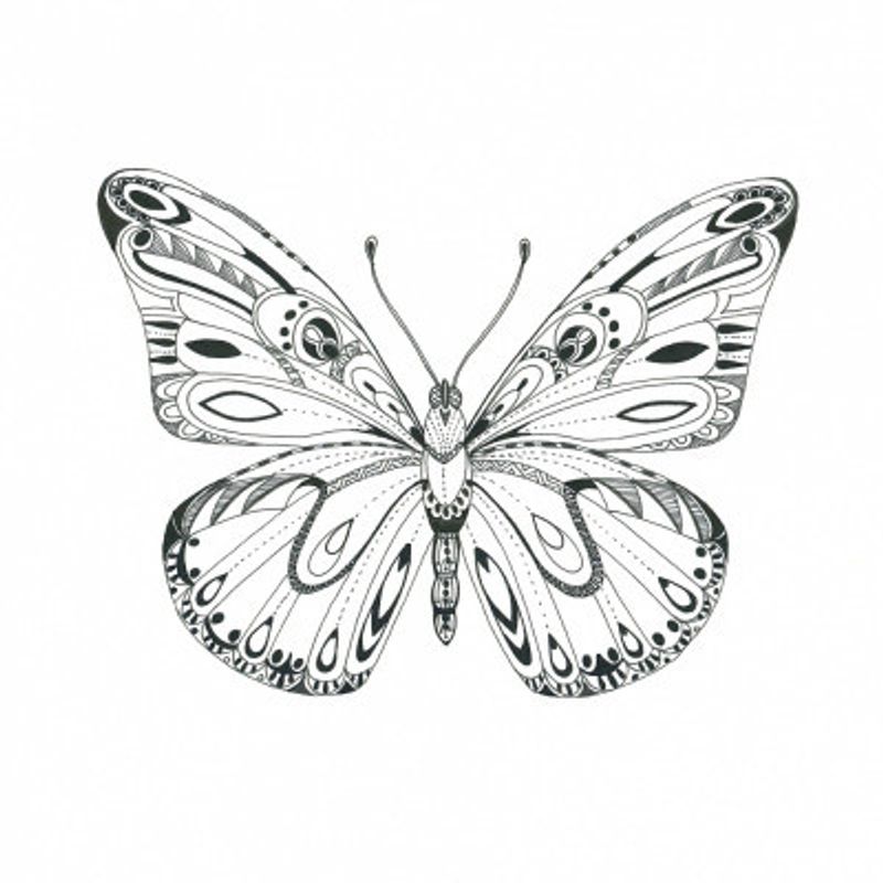 Intricate Butterfly