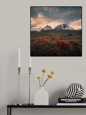 Spring in Cordillera del Paine