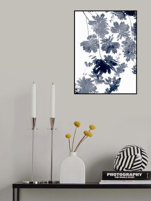 Deep Ecology 1 Bluegrey