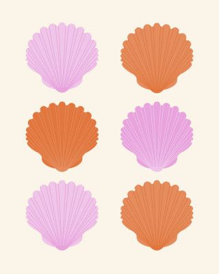 Pink and Orange Shells