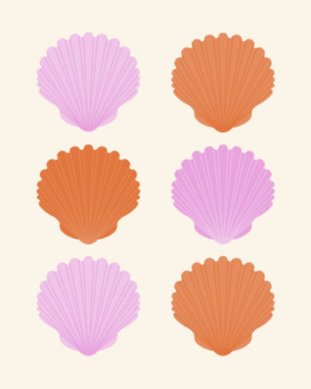 Pink and Orange Shells