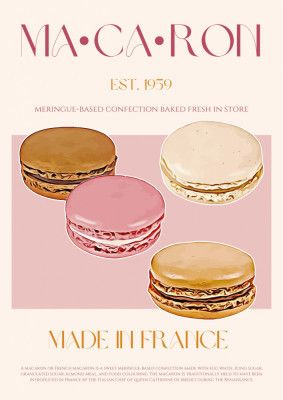 French Macaron Delight