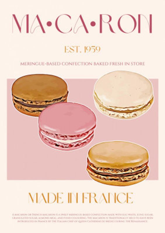 French Macaron Delight