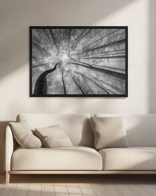 Spring crown of trees