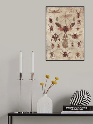 Vintage-style  Insects