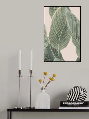 Calla Leaf