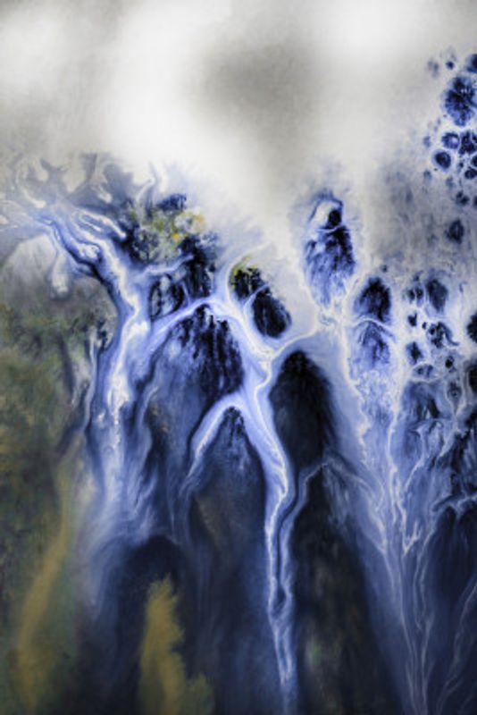 Best Sellers - Mysteries of the Marsh