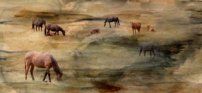 Horses Grazing