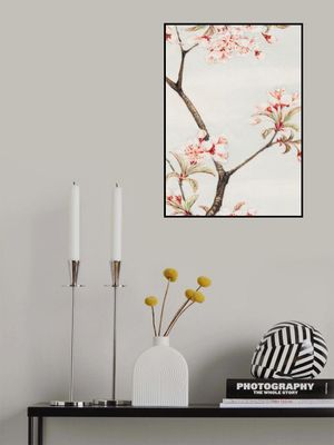 Sakura Cherry During 1870–1880