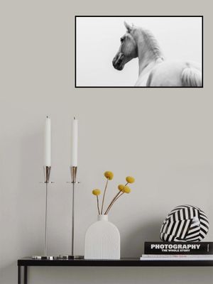 a short story about a shorn horse