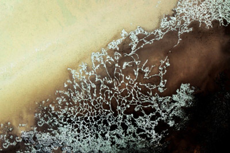 Pantone Color of 2025 - Ethereal Embrace