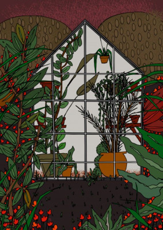Gardening Greenhouse