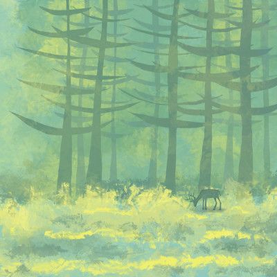 Deer in the Forest Glade