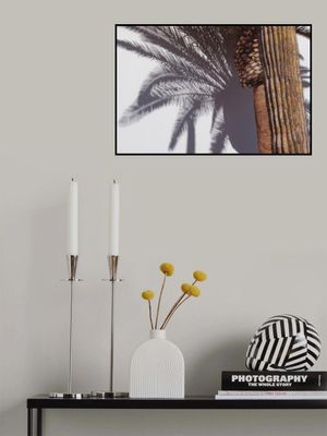 Las Vegas Shadows Palm Tree