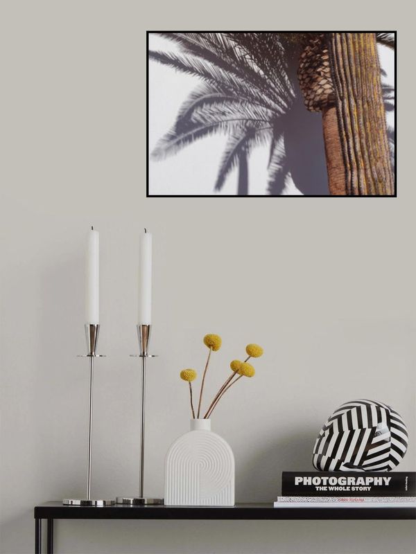 Las Vegas Shadows Palm Tree