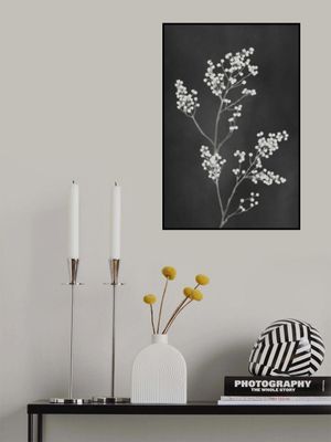 Monograph Black Flowers