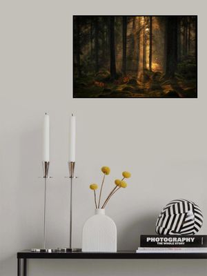 The light in the forest