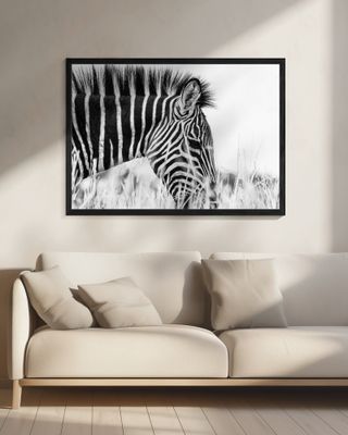 Fashionable black and white