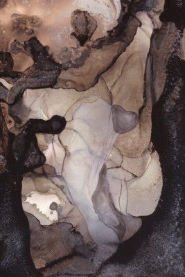 Organic Shapes in Earthy Tones