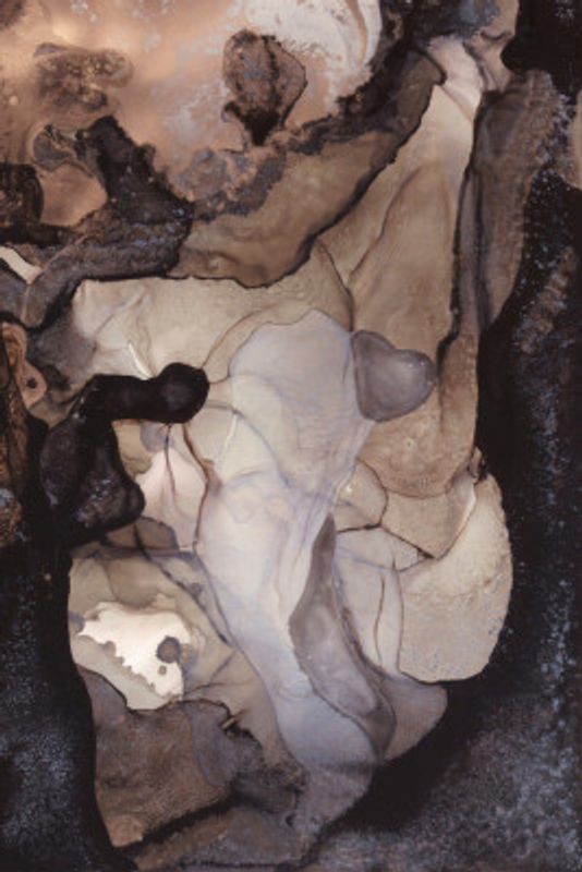 Organic Shapes in Earthy Tones