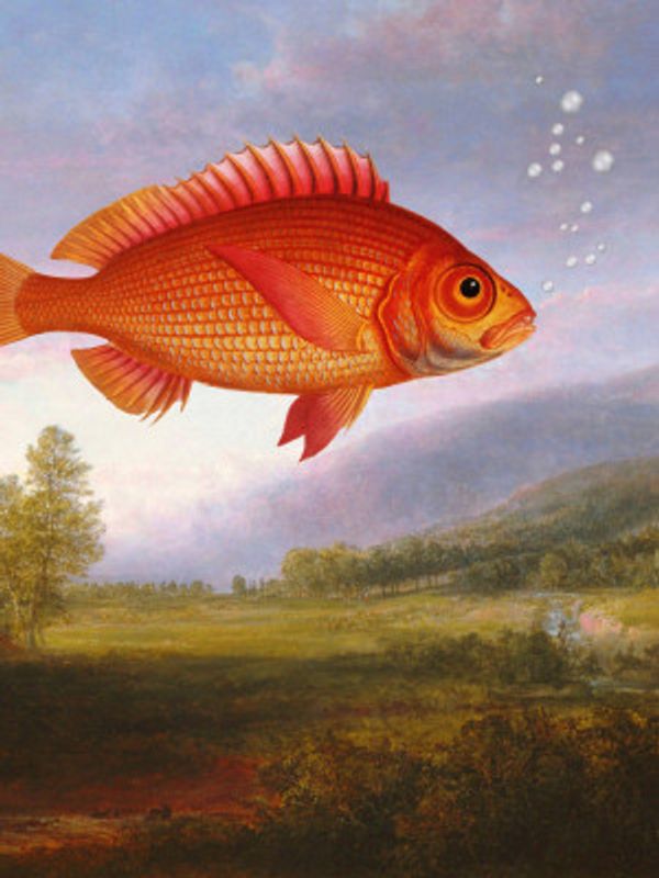 Not Sure This Really Happened