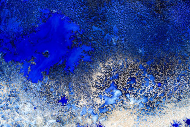 Ocean Best Sellers - Sunlit Reef