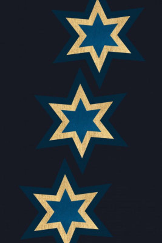 Bright Lights To Guide (vers.2)