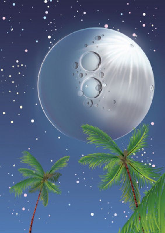 Tropical Moonlit Night