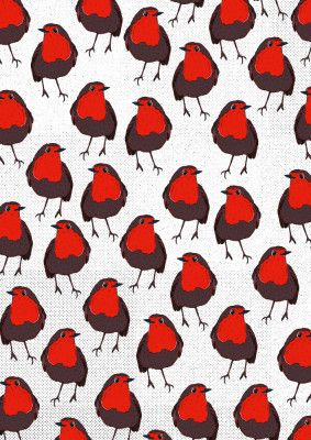 Robin Bird Pattern
