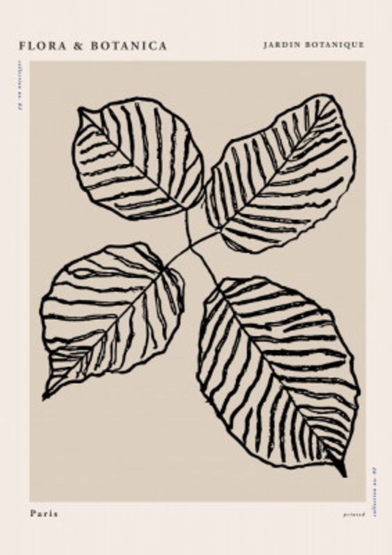 Florabotanicalineno07