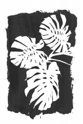 Black Monstera Leaves Silhouette