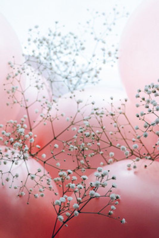 Delicate Blooms and Pink Balloons