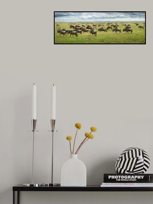 Great Migration in Serengeti Plains